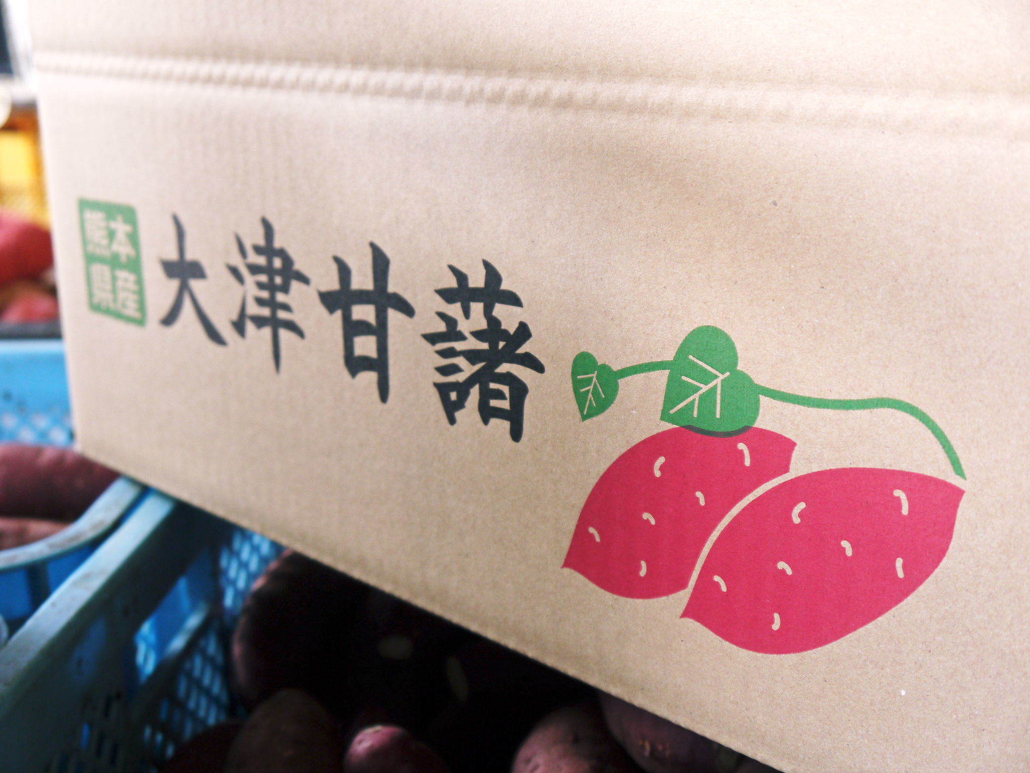 熊本産大津甘藷『からいも(サツマイモ)』の販売に向け、生産農家を現地取材(後編)_a0254656_17182982.jpg