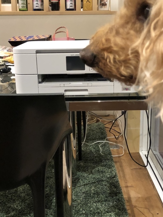 2020年１月２８日　小塚山ワーク_b0098584_18541100.jpeg