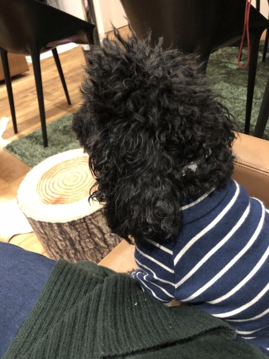 2020年１月２８日　小塚山ワーク_b0098584_18542773.jpeg
