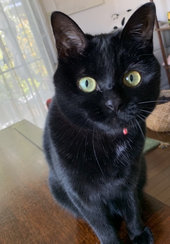 マメさんタッチ！_e0358096_19580293.jpeg
