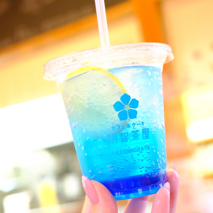 「海の京都 福知山 明智茶屋 光秀の愛したプリン」_a0000029_23290416.jpg
