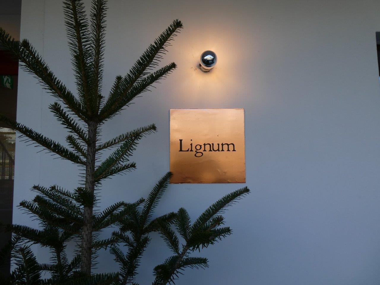 リグナム 　ちょっと気になる_d0106134_22093971.jpg