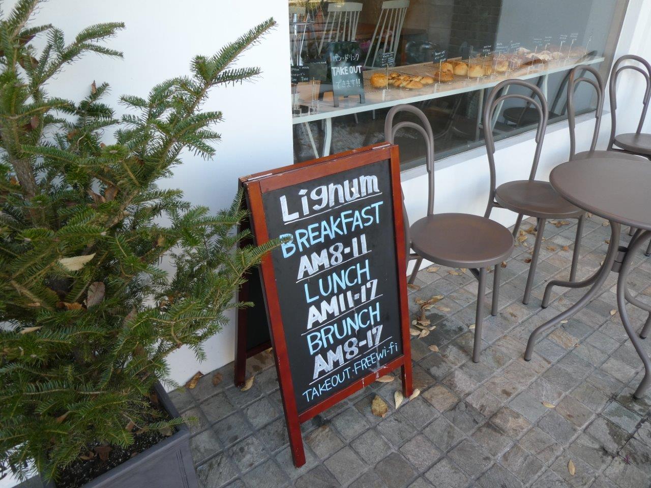 リグナム 　ちょっと気になる_d0106134_22093981.jpg