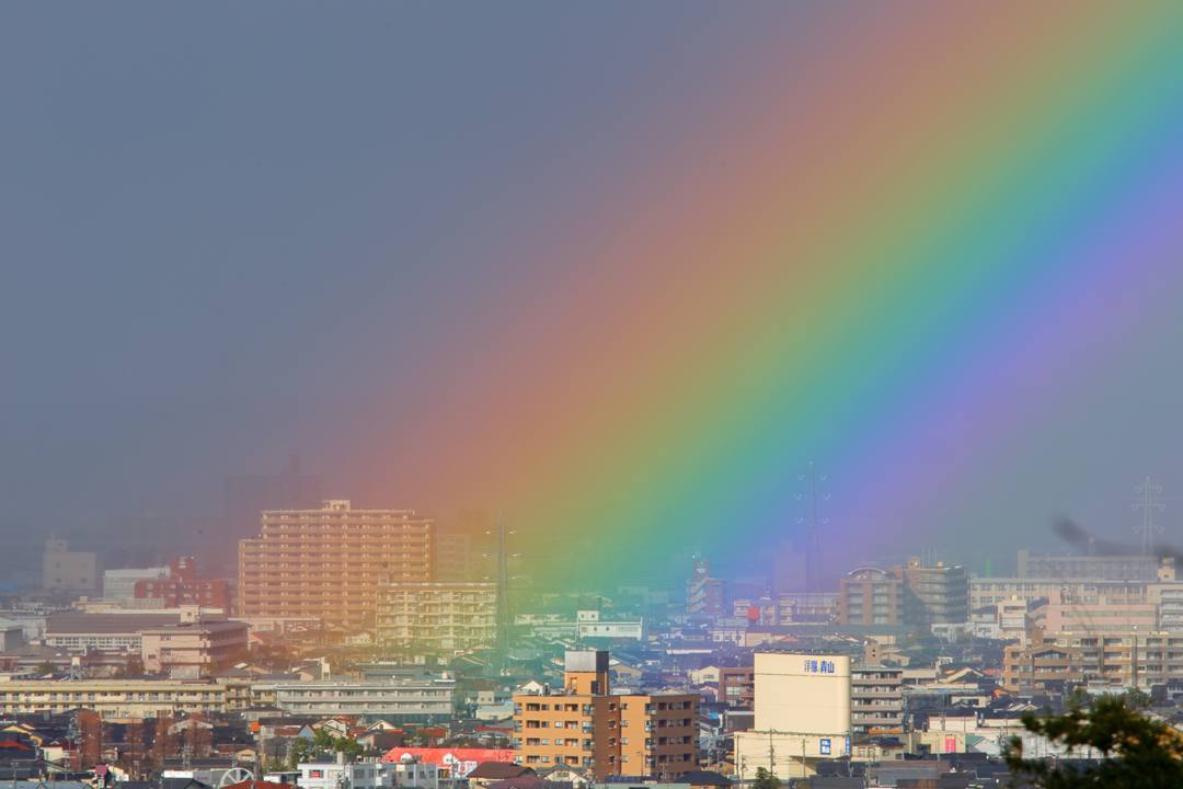 白鳥_e0403850_23082582.jpg