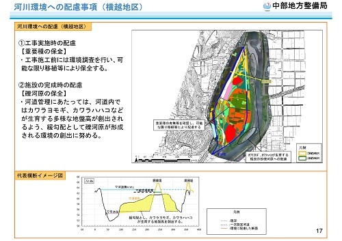 木曽川水系河川整備計画変更原案パブコメと長良川の遊水池計画(2)_f0197754_19482661.jpg