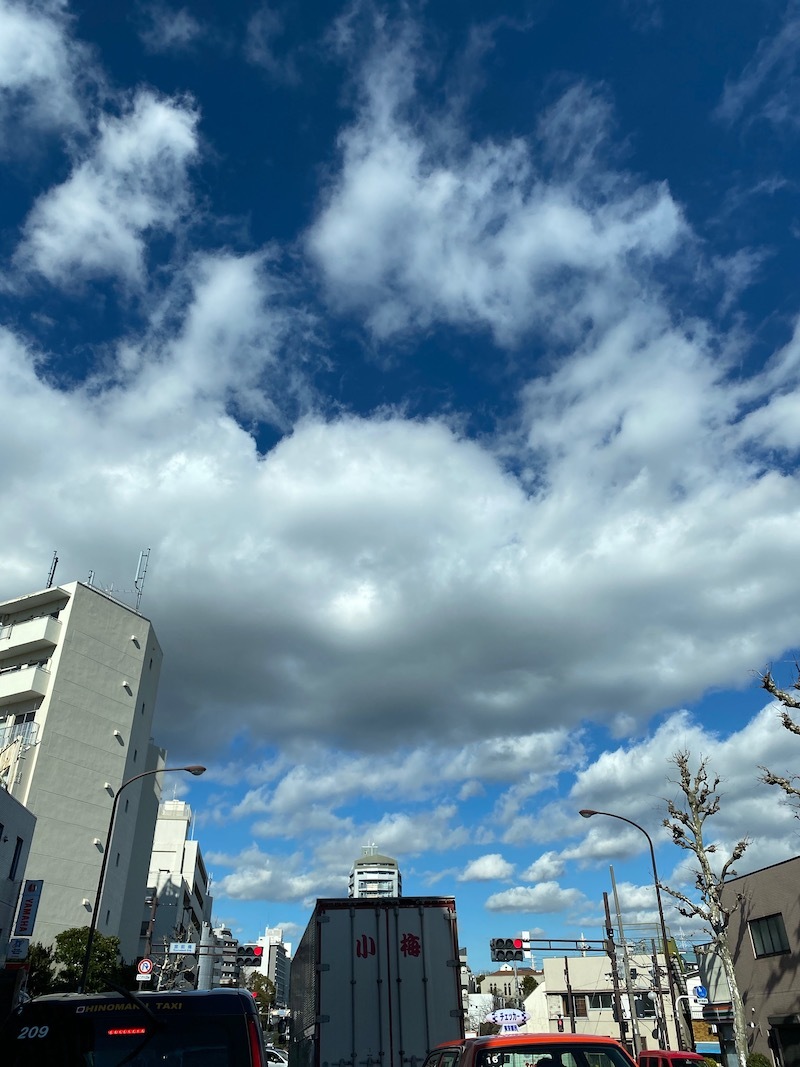 空は、いつか、晴れるから_c0113755_14584602.jpeg