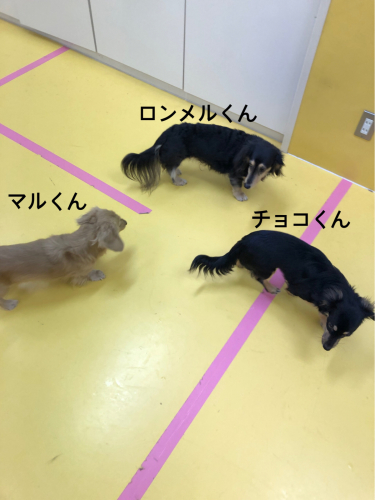 保育園ブログ_f0357682_00404912.jpg