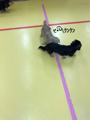 保育園ブログ_f0357682_00463548.jpg