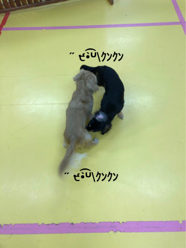 保育園ブログ_f0357682_00463888.jpg