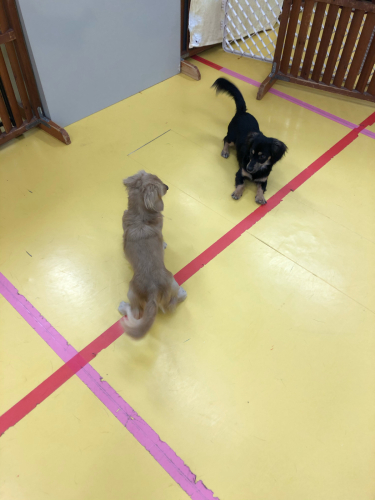 保育園ブログ_f0357682_00480081.jpg
