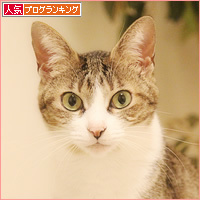 実は美形_a0389088_14464011.jpg
