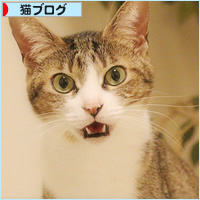 実は美形_a0389088_14464036.jpg