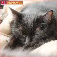 旅立ちの時_a0389088_15040867.jpg
