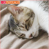 待ってたよ_a0389088_15202086.jpg