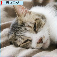 待ってたよ_a0389088_15202098.jpg