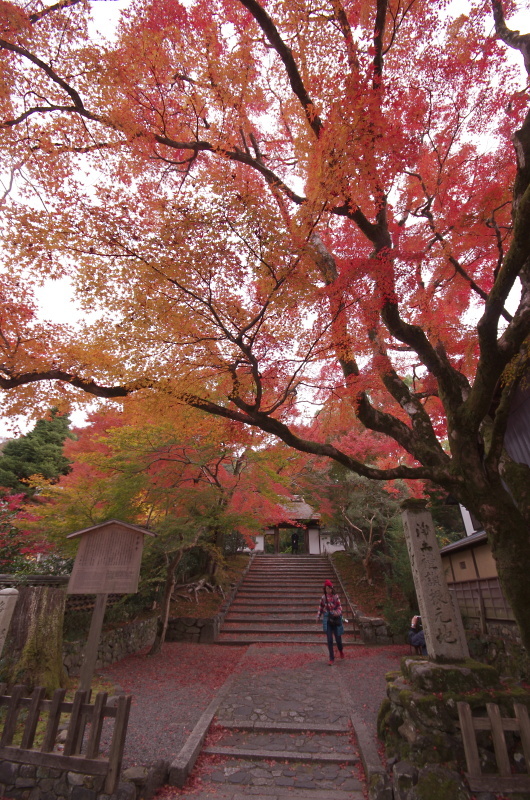 安楽寺 紅葉 京都デジカメ散歩