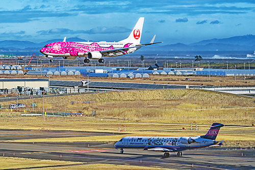 0130仙台空港　お初？　ピンクのジンベイザメ_c0148812_14365802.jpg