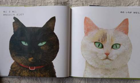 町田尚子さんの新刊絵本「ねことねこ」_a0265743_23241601.jpg