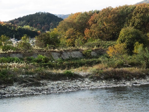 木曽川水系河川整備計画変更原案パブコメと長良川の遊水池計画(3)_f0197754_12322958.jpg