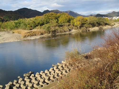木曽川水系河川整備計画変更原案パブコメと長良川の遊水池計画(3)_f0197754_12341344.jpg