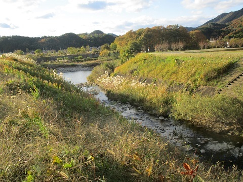 木曽川水系河川整備計画変更原案パブコメと長良川の遊水池計画(3)_f0197754_12365446.jpg