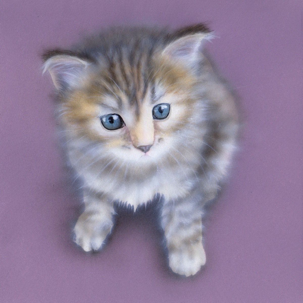 毎日一絵チャレンジ アクリル画 ただ可愛い子猫 メイキング 子猫の絵 Junya Blog 猫 犬 リアリズム絵画