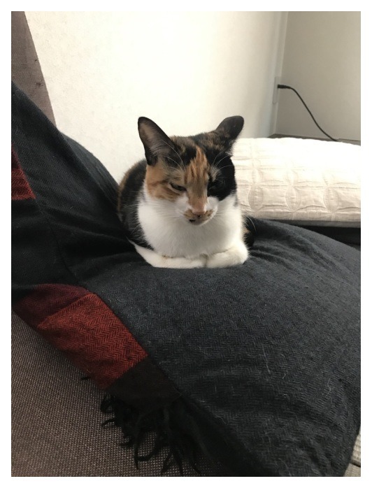 ひさしぶりに会う。_b0016168_14032738.jpeg