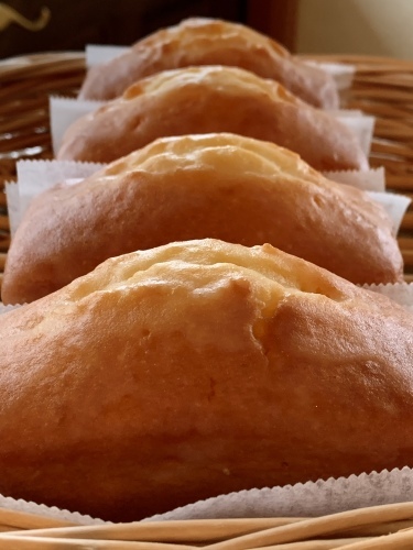 濡れ雪を眺めながら レモンケーキの仕上げ_a0134394_08075321.jpeg