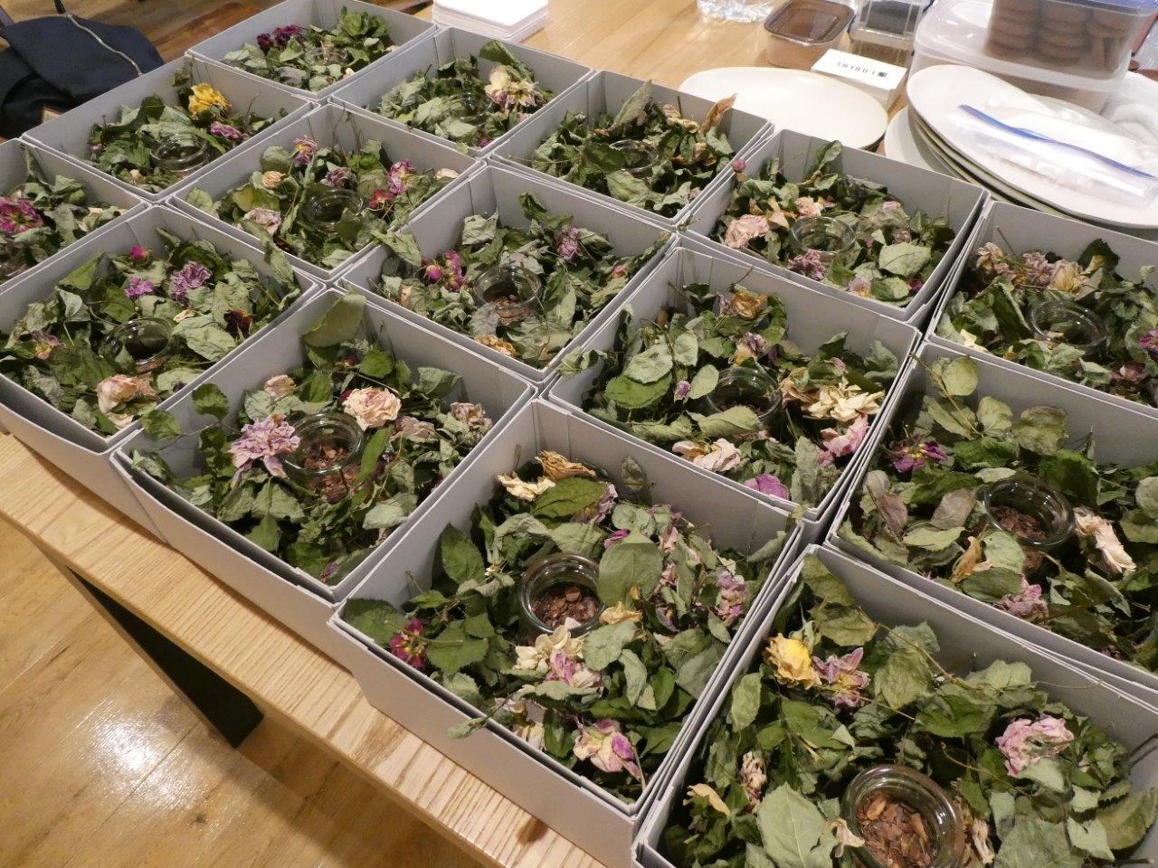 WABARA✖️ LUDENS 　1月18日_d0106134_21474976.jpg