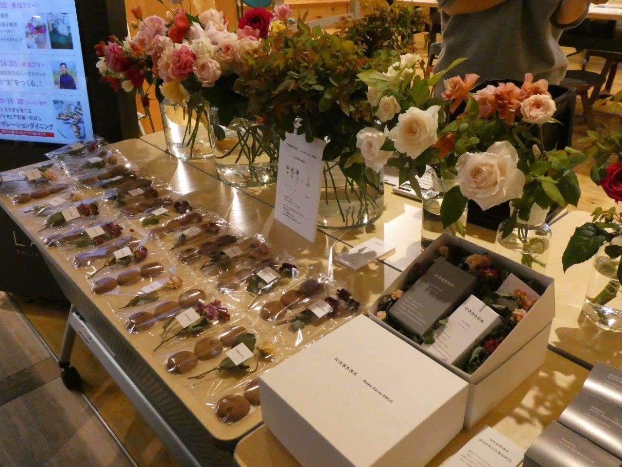 WABARA✖️ LUDENS 　1月18日_d0106134_21484493.jpg