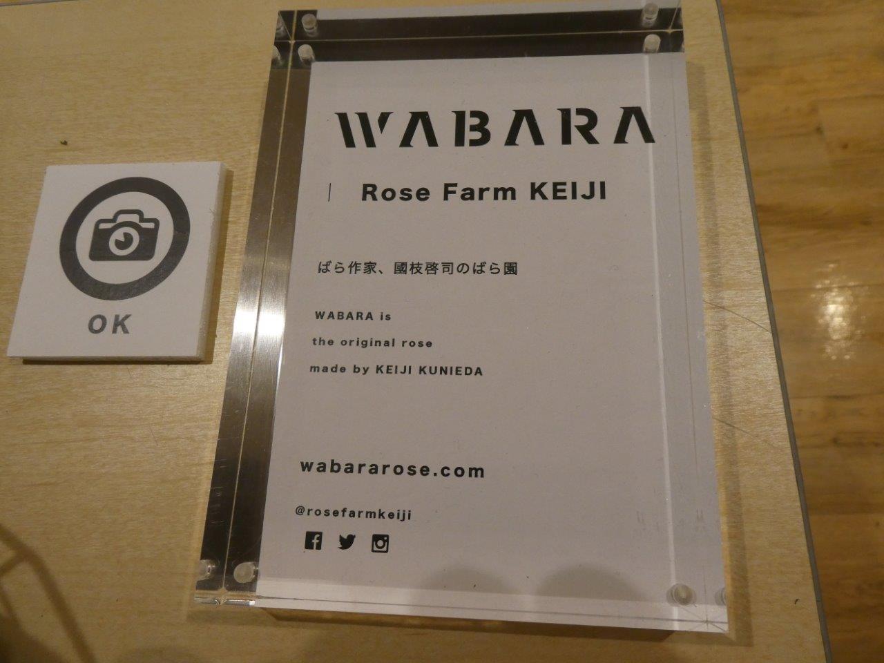 WABARA✖️ LUDENS 　1月18日_d0106134_21485205.jpg