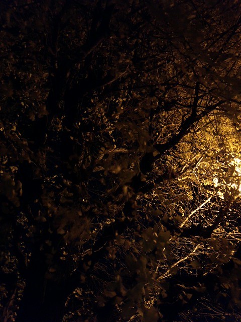 「ARROWS V (F-04E)」で夜景をキレイに撮るには_c0060143_13553400.jpg