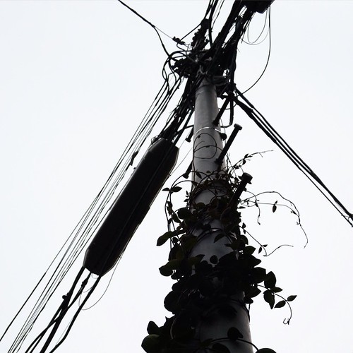 都電フォトウォーク、まずは都電無しの写真 #都電pw2015_c0060143_15155194.jpg