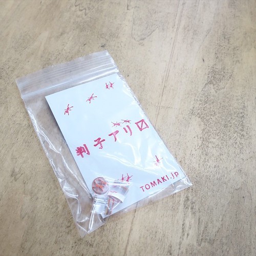 なぜ僕がこんなアリのようなちっぽけな作品をつくるに至ったか_c0060143_19181460.jpg