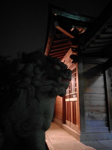 深夜過ぎ、3枚の写真_c0060143_20193487.jpg
