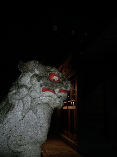 深夜過ぎ、3枚の写真_c0060143_20194148.jpg