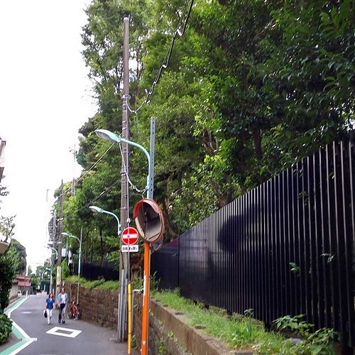 J-WAVE DAYのランイベントに参加するので下見_c0060143_21452807.jpg