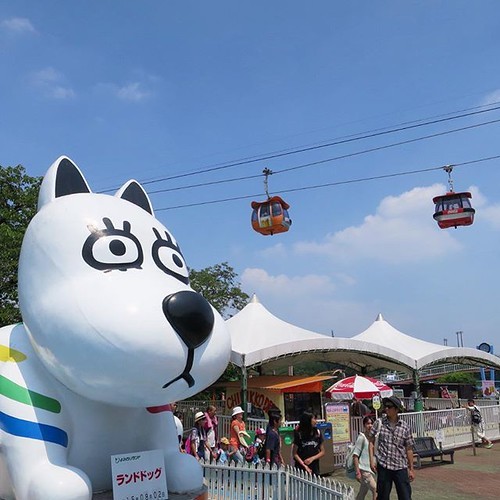 よみうりランドは暑かった_c0060143_21484350.jpg