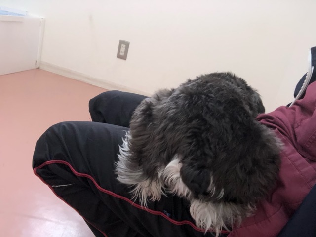 トレーニングブログ_f0357682_14272812.jpeg