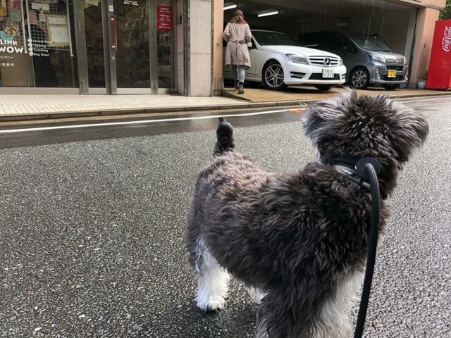 トレーニングブログ_f0357682_14282263.jpeg