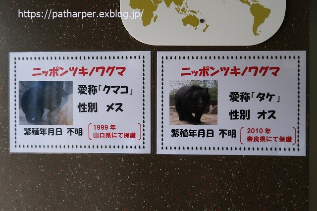 2020年1月 王子動物園2 その2_a0052986_7221767.jpg