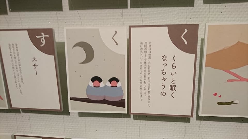この週末は。2月1日&2日。1月も終わりますね・・_e0046190_14530092.jpg