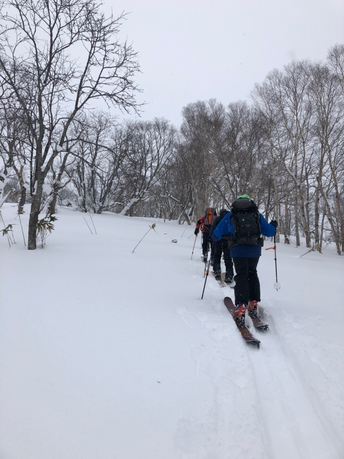 2020.1.29 幌加内方面へBC_d0198793_11015754.jpg