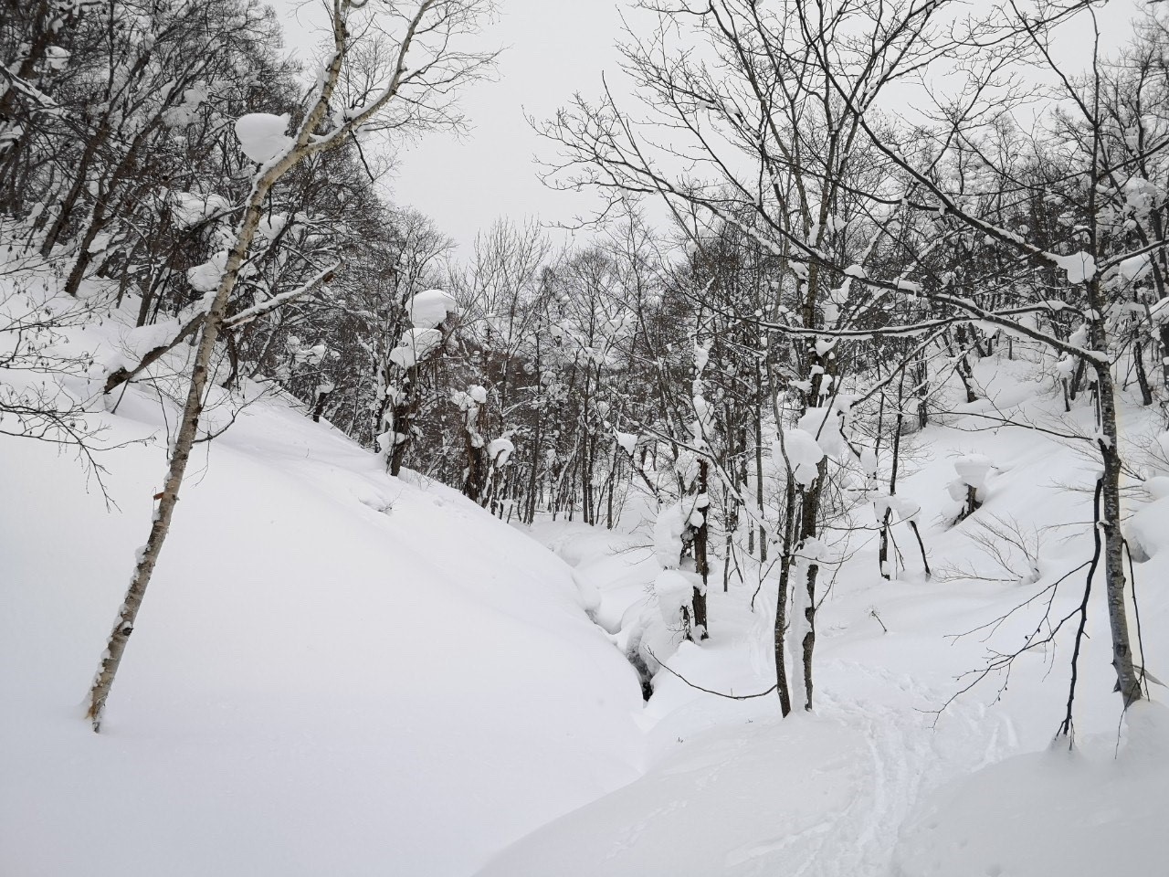 2020.1.29 幌加内方面へBC_d0198793_11021075.jpg