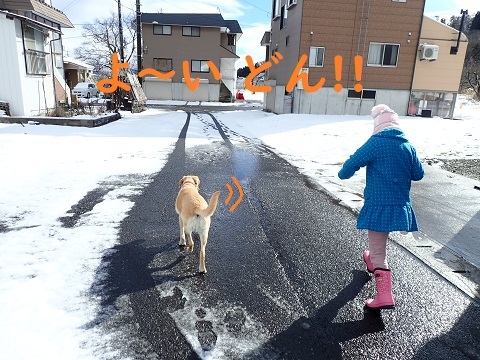 なっちゃんプーちゃん。_c0182012_11141294.jpg