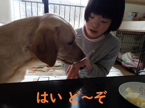 なっちゃんプーちゃん。_c0182012_11141713.jpg