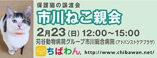 _f0078320_13555711.png