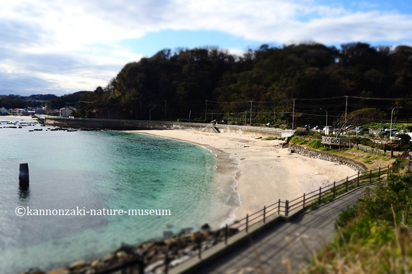 たたら浜の風景 いろんなモードで撮ってみた_a0386621_17344303.jpg