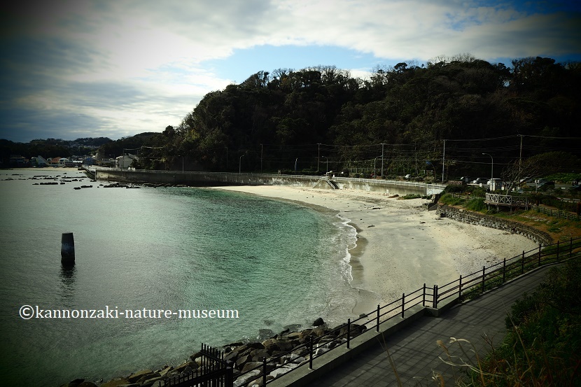 たたら浜の風景 いろんなモードで撮ってみた_a0386621_17345265.jpg