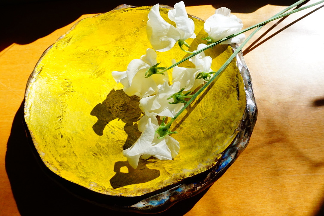 2月のご案内 個展・定休日_b0132442_12375684.jpeg